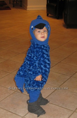 Coolest Homemade Baby Blue Macaw Costume