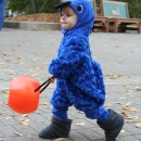 Coolest Homemade Baby Blue Macaw Costume