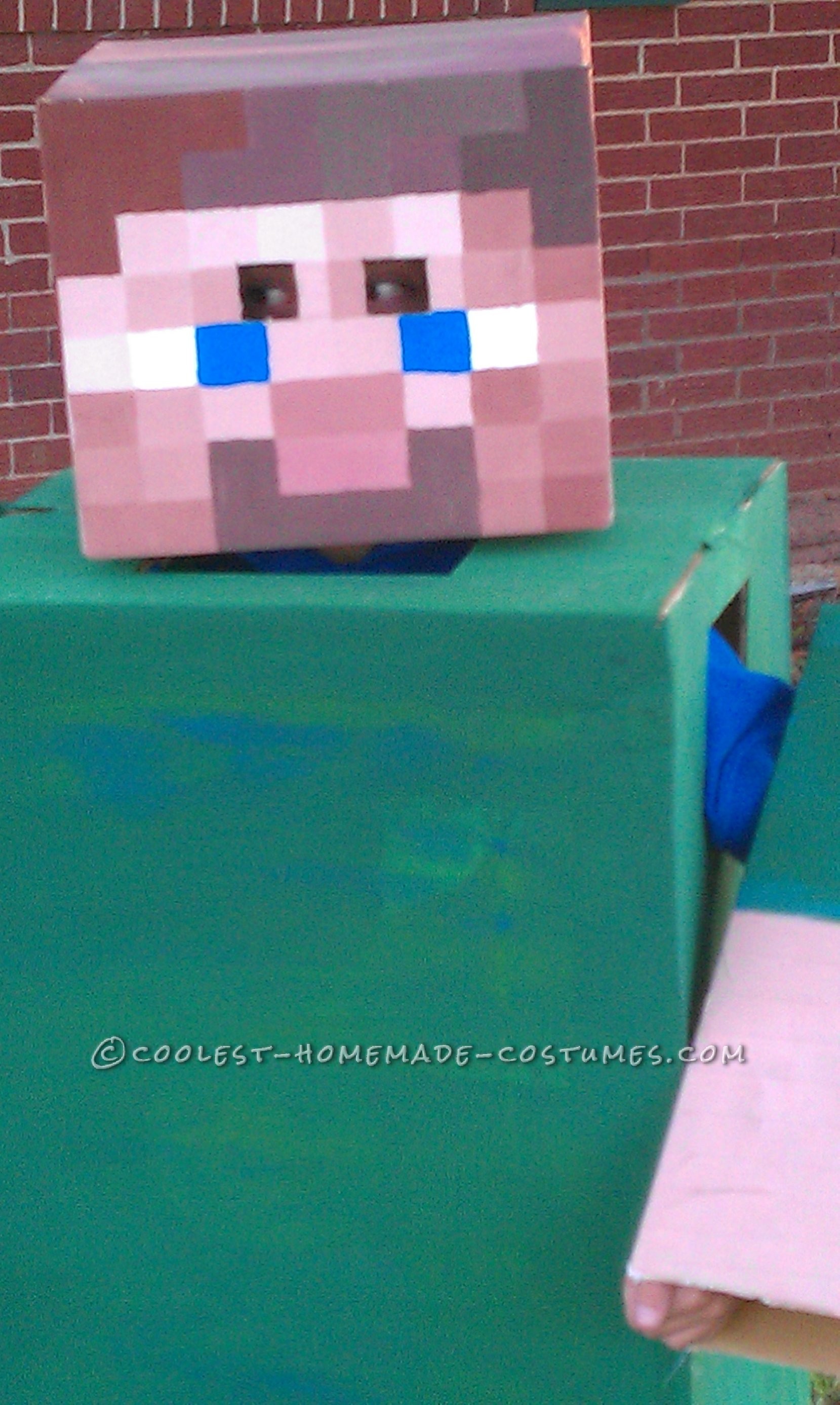 Coolest Homemade Minecraft Costume