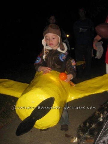 This is my son Jake in his Plane!  My husband made this costume for him.  I just did quality control ;-).  Call me the project manager