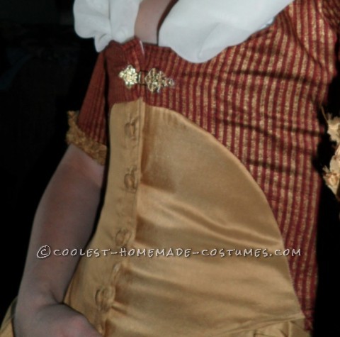 Handmade 18th Century Duchess of Devonshire Costume
