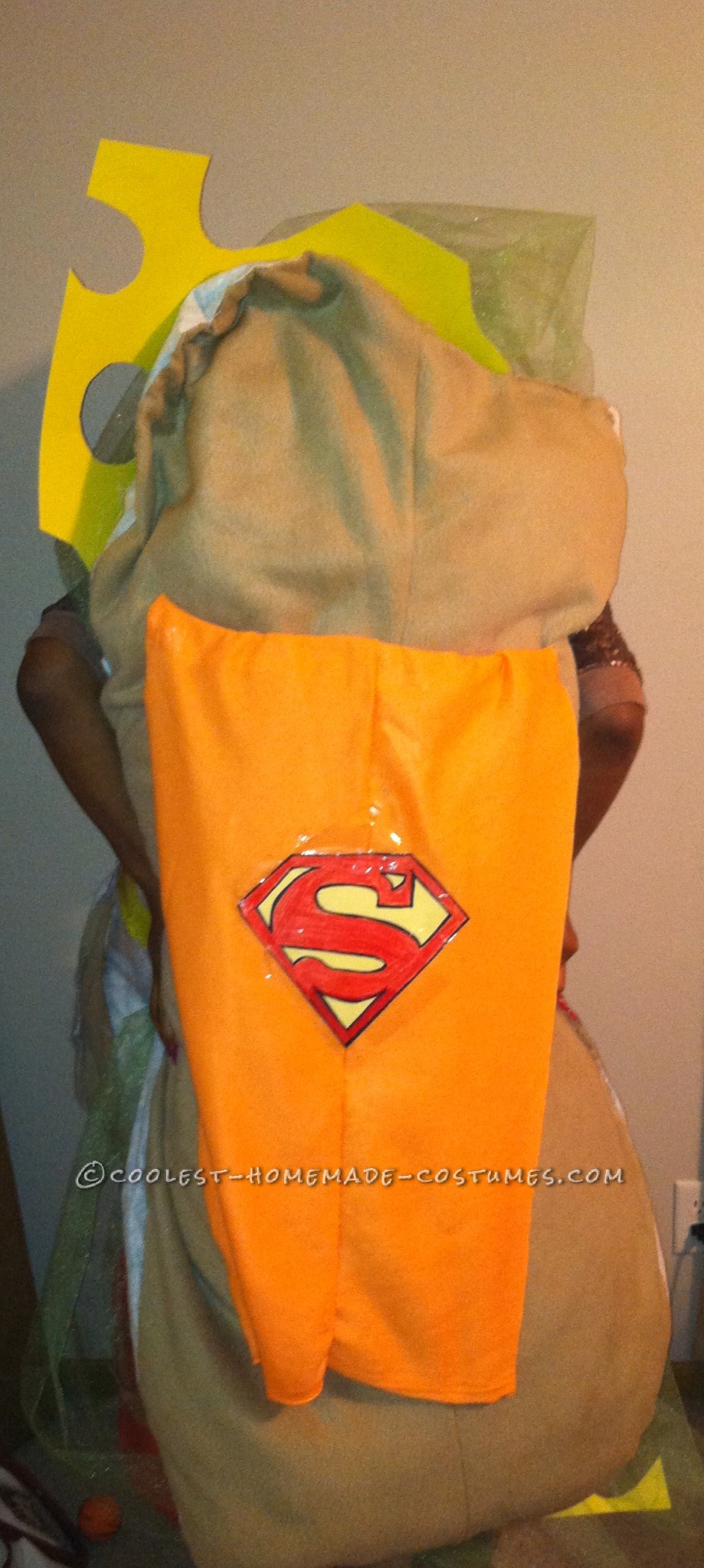 Cool Wordplay Costume: Super Hero Sandwich