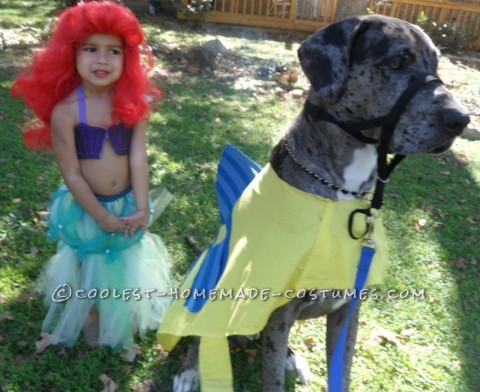 Homemade Flounder Costume for a Dog