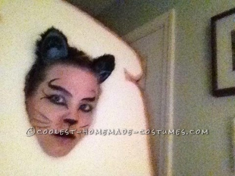 Last-Minute In-Bred Cat Meme Homemade Halloween Costume