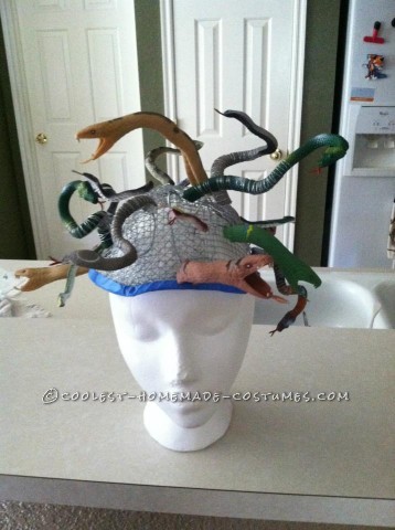 Started off rounding up some rubber snakes, a wig, material for the skirt, some air brush paint, wire, and wire mesh.First we made a skull cap