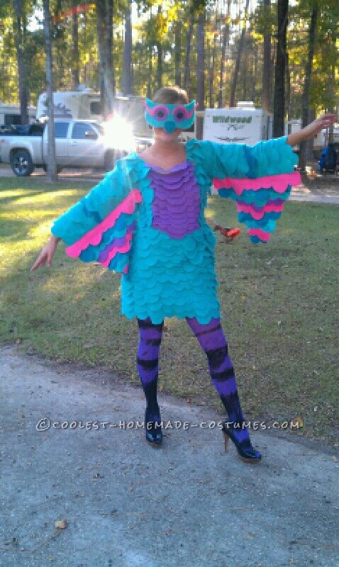 Colorful Homemade Owl Costume Costume