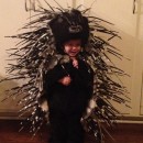 This is my daughter's porcupine costume from this year. She is two.We carved a porcupine head from a block of foam, cutting a round opening in the