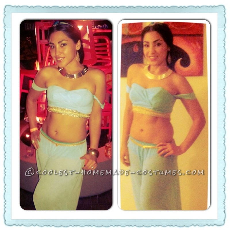 Pretty Homemade Princess Jasmine Costume