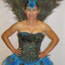 Sexy Peacock Costume: I started making my sexy Peacock costume about 3 weeks before Halloween. I purchased a corset from Charlotte Russe for $10, a tutu from Party City for