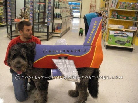 Awesome Southwest Airlines Group Halloween Costume