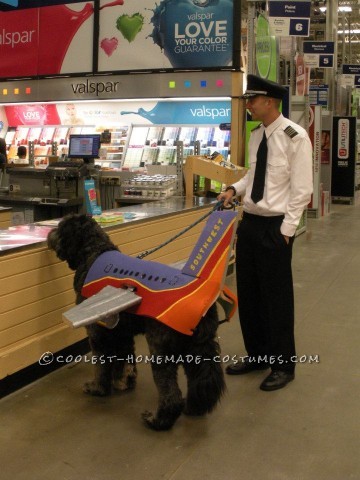 Awesome Southwest Airlines Group Halloween Costume