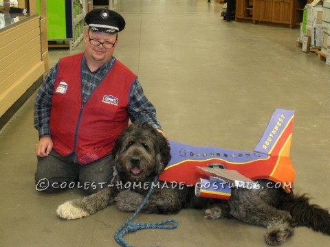 Awesome Southwest Airlines Group Halloween Costume