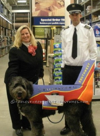 Airline Costume