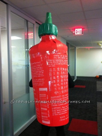 Spicy Homemade Sriracha Hot Sauce Costume