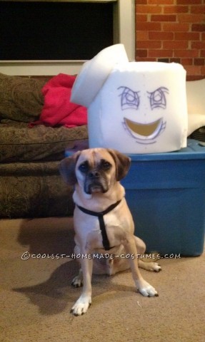 When I suggested to my fiance, Jaimi, that she should be Stay Puft Marshmallow Man for Halloween, her eyes lit up and she immediately was pumped abou