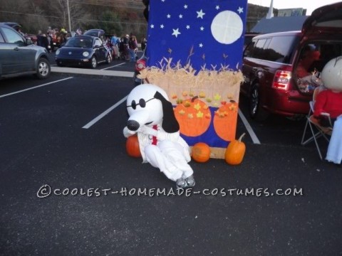 The Best Homeade Peanuts Gang Costume: We purchased 19 inch beach balls and paper mached with 3-4 layers for our Peanuts gang costume. Balls were then reinforced with Kilz and cardboard aro