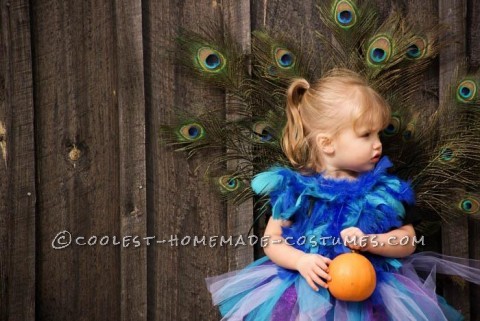 Cutest Homemade Peacock Costume for a Toddler