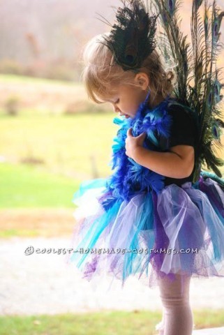Cutest Homemade Peacock Costume for a Toddler