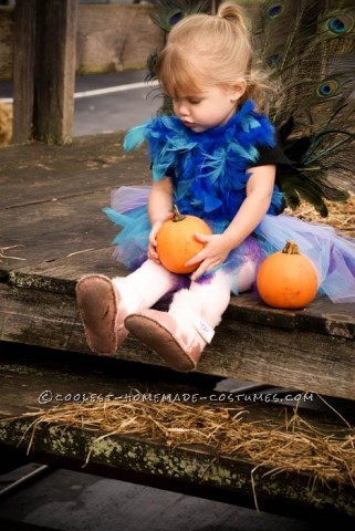 Cutest Homemade Peacock Costume for a Toddler