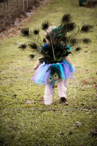 Cutest Homemade Peacock Costume for a Toddler