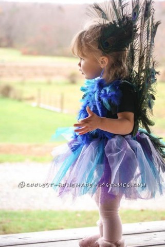 Cutest Homemade Peacock Costume for a Toddler