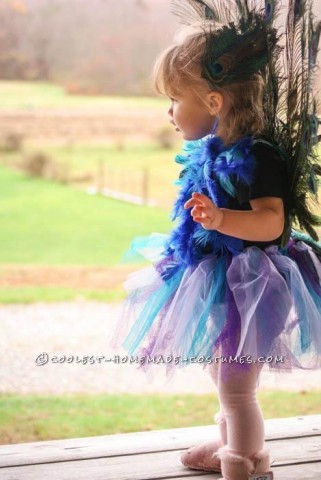 Cutest Homemade Peacock Costume for a Toddler