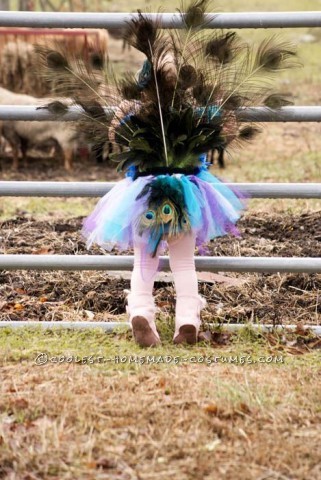 Cutest Homemade Peacock Costume for a Toddler