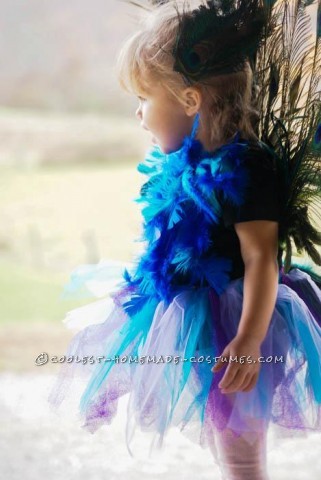 Cutest Homemade Peacock Costume for a Toddler