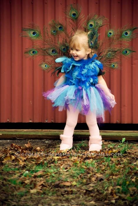 Cutest Homemade Peacock Costume for a Toddler