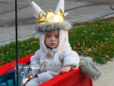 Fun Family Costume Idea: Where the Wild Things Are: On a family trip to Chicago one weekend, our family walked into a costume shop just to look around.  My husband spotted a 