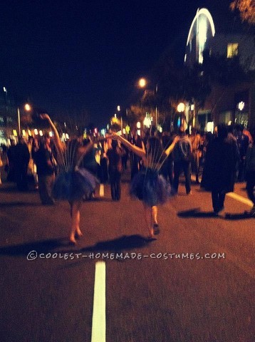 Prettiest Peacocks at the Costume Party