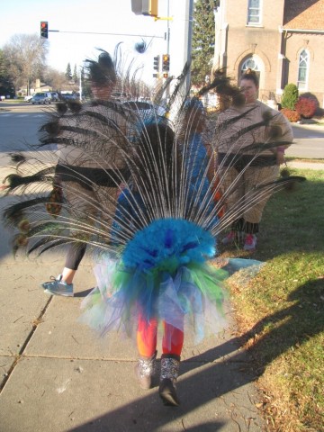 Proud Peacock - Homemade Girls Costume