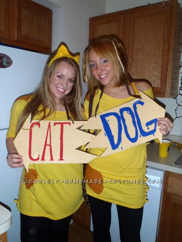 Cheap and Easy Catdog Couple Halloween Costume