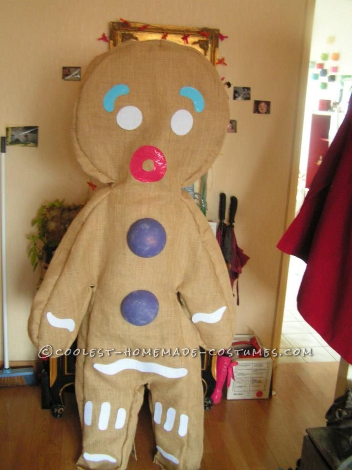 Cool Homemade Gingerbread Man Costume