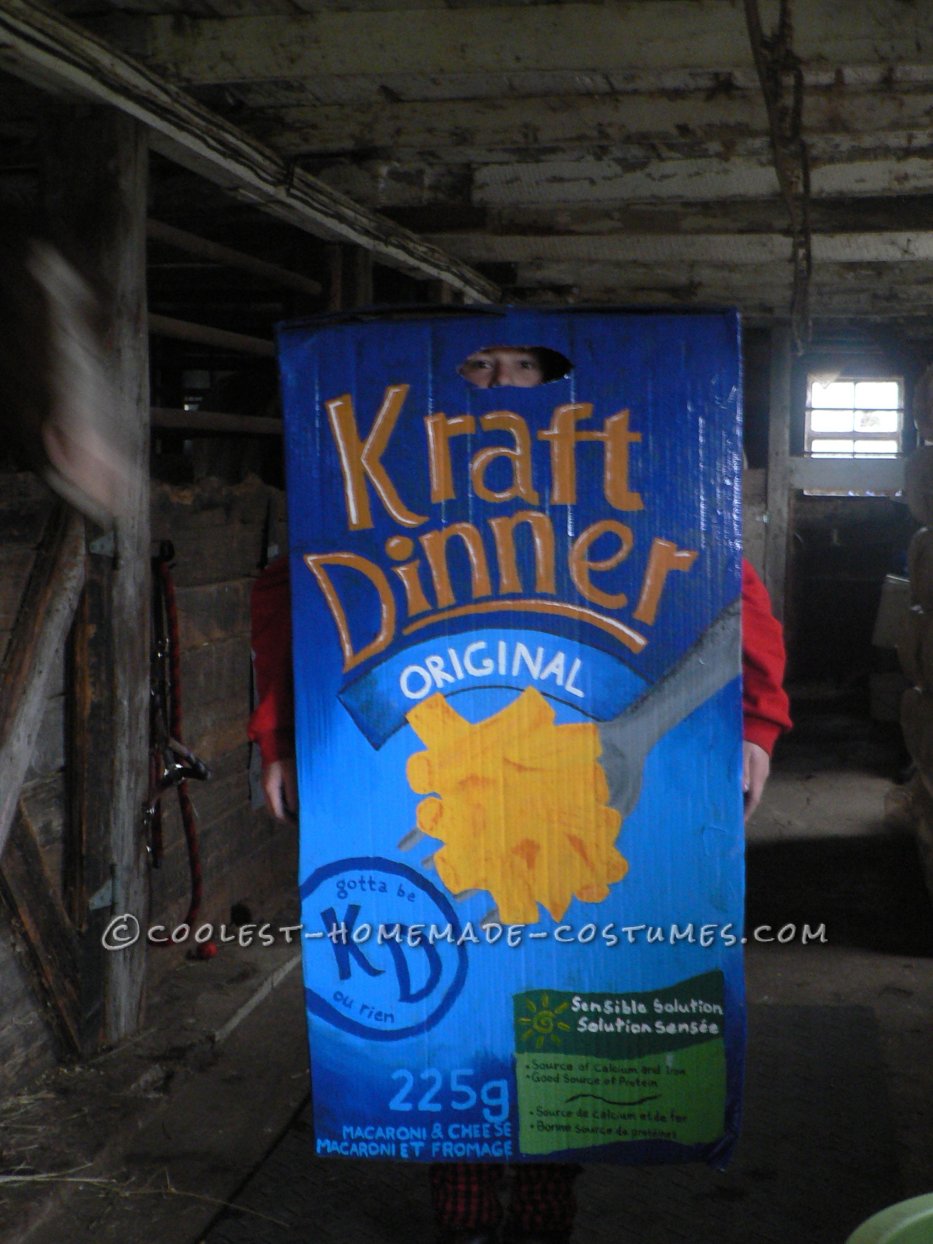 Coolest Homemade KD Kraft Dinner Halloween Costume