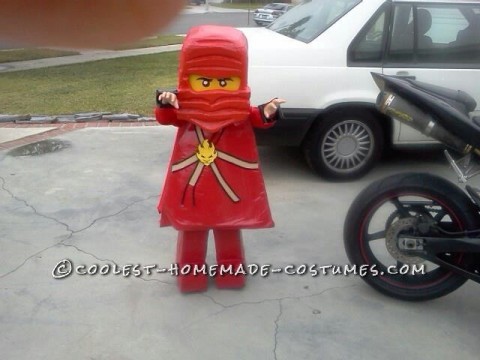 Coolest Ninjago KAI Halloween Costume