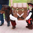 Best Homemade Dog Pirate Costume