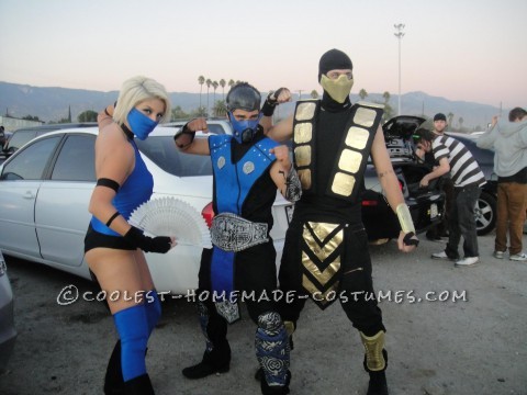 Homemade Mortal Kombat Princess Kitana Halloween Costume