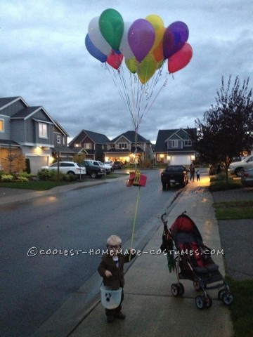 Coolest Homemade Up Family Costume