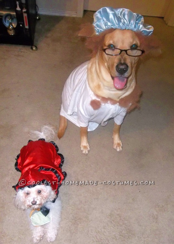 Little Red Riding Hood Pet Dog Costume