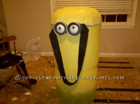 Cool Homemade Minion Costume