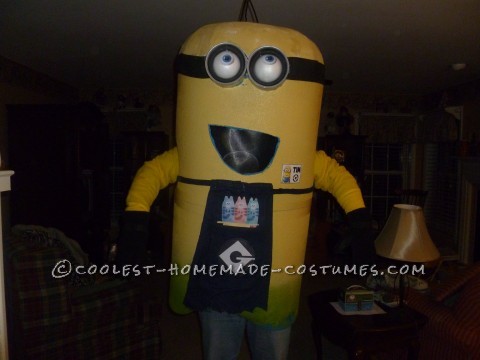 Cool Homemade Minion Costume