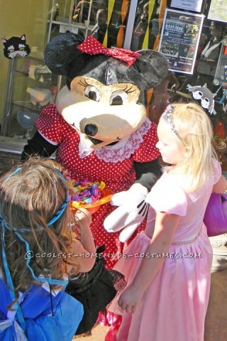 Homemade Minnie Mouse Costume