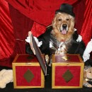 Coolest Homemade Couple Costume for Pet Dogs: Magician Sawing Assistant in Half