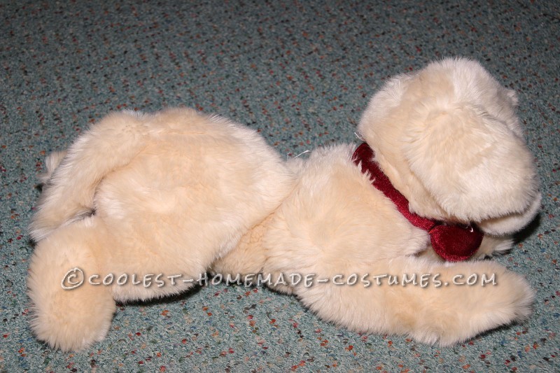 Golden retriever toy to look like puppys other half