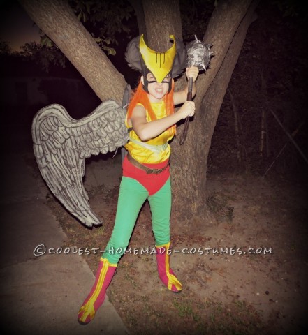 Coolest Homemade Hawk Girl Costume