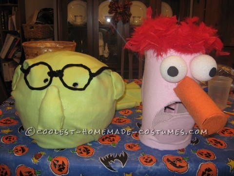 Coolest Homemade Muppets Family Group Costume