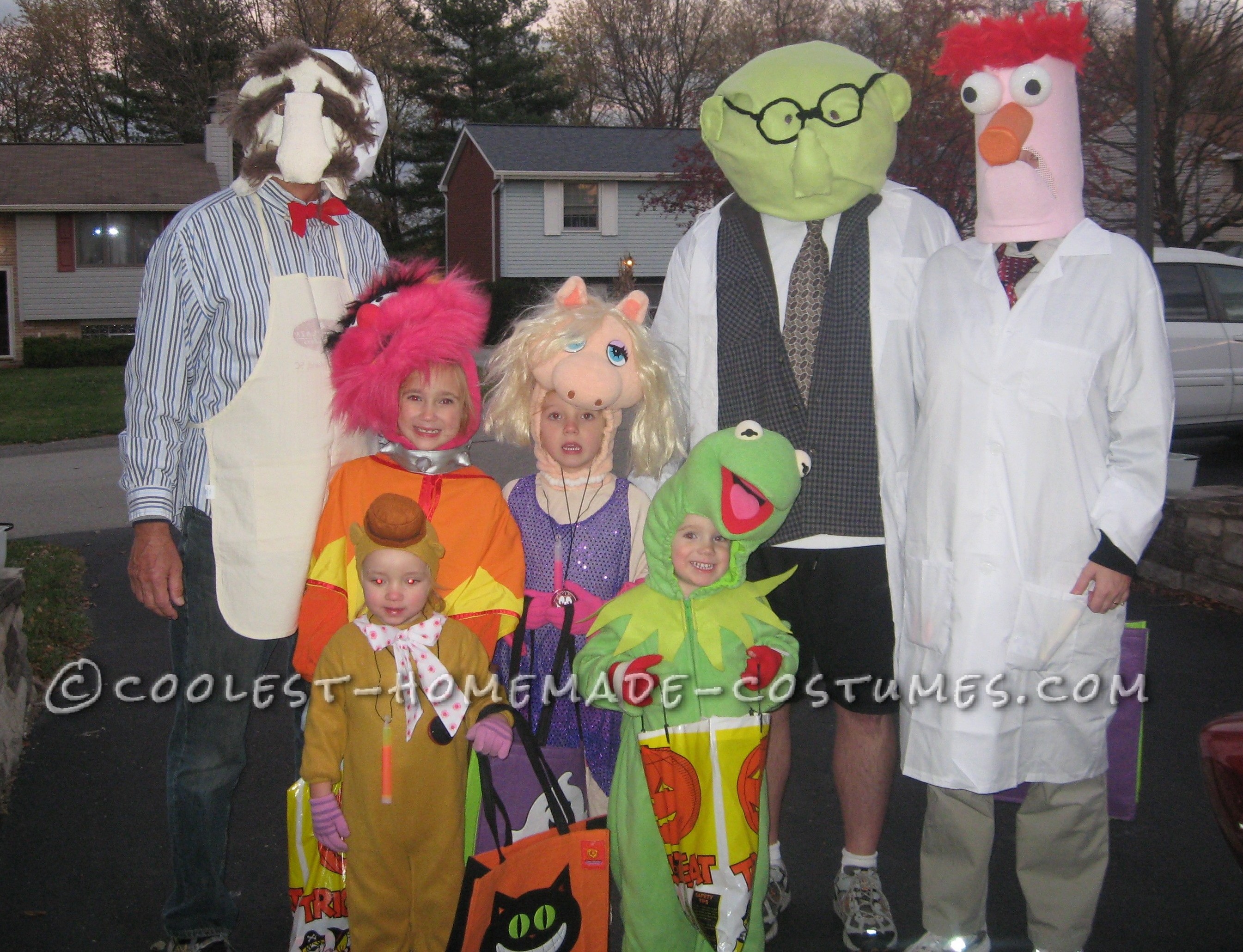Coolest Homemade Muppets Family Group Costume