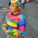 Most Awesome Homemade Pinata Costume Ever!