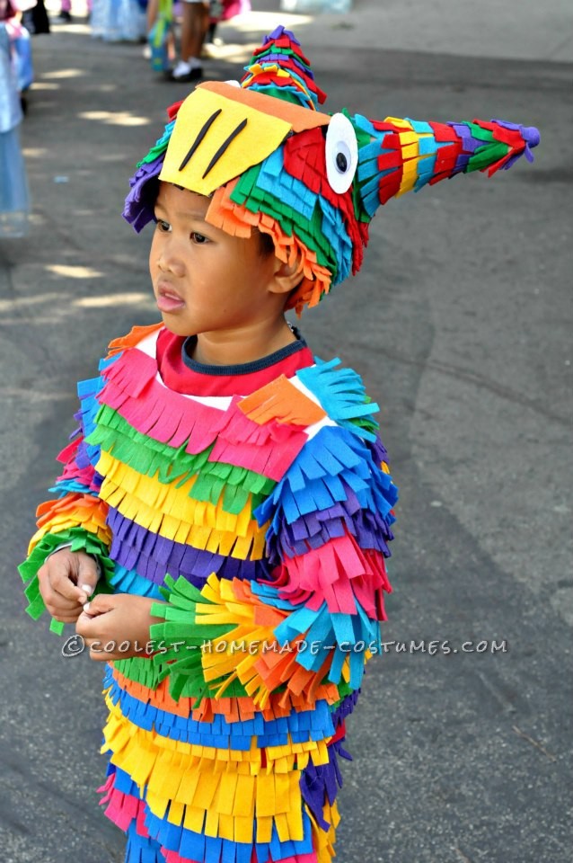 Most Awesome Homemade Pinata Costume Ever!